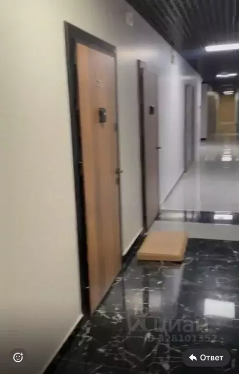 Студия Краснодарский край, Сочи городской округ, Дагомыс пгт ш. ... - Фото 2