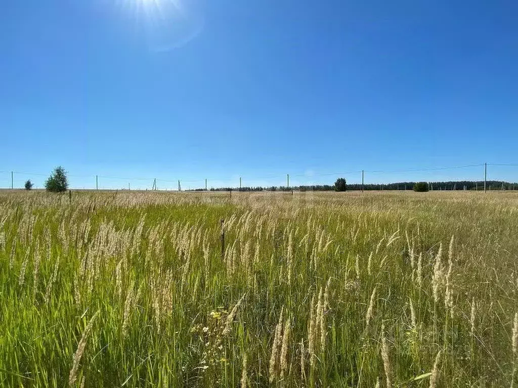 Участок в Татарстан, Балтаси пгт ул. Ялкын, 6 (10.0 сот.) - Фото 1