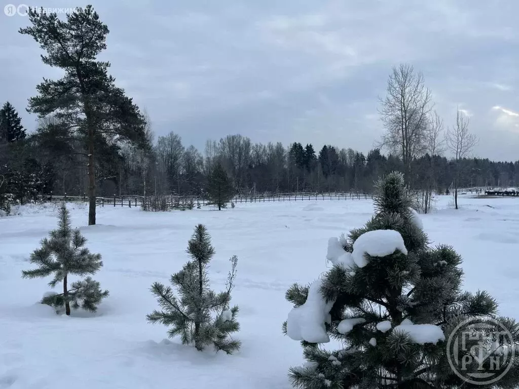 Участок в Лужский район, Скребловское сельское поселение, деревня ... - Фото 1
