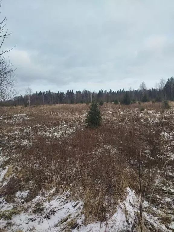 Участок в Московская область, Клин городской округ, д. Егорьевское  ... - Фото 1