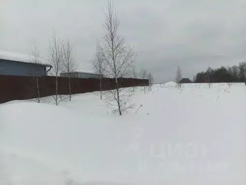 Участок в Московская область, Чехов муниципальный округ, д. ... - Фото 2