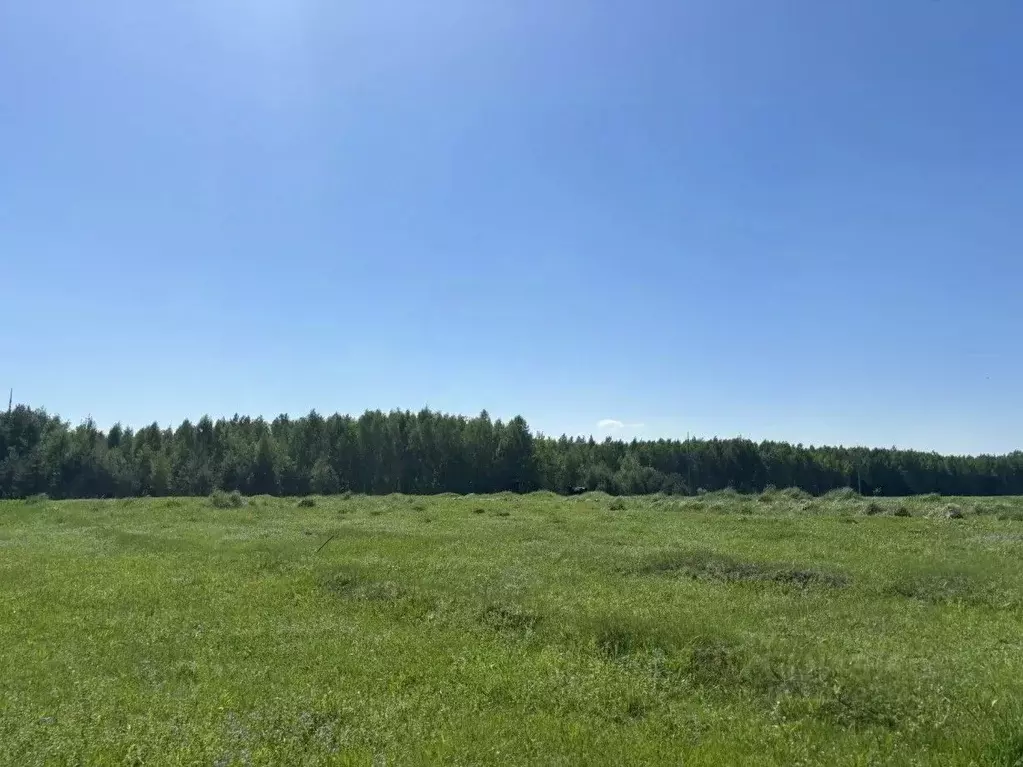 Участок в Московская область, Павлово-Посадский городской округ, д. ... - Фото 2