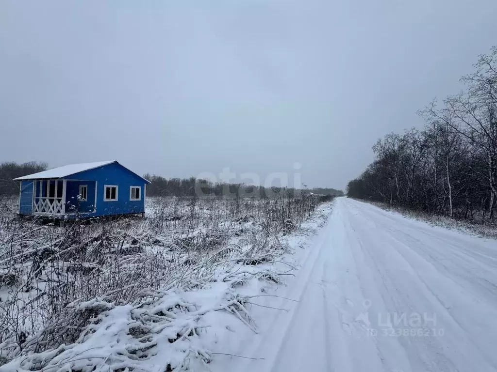 Дом в Архангельская область, Приморский муниципальный округ, д. Корелы ... - Фото 1