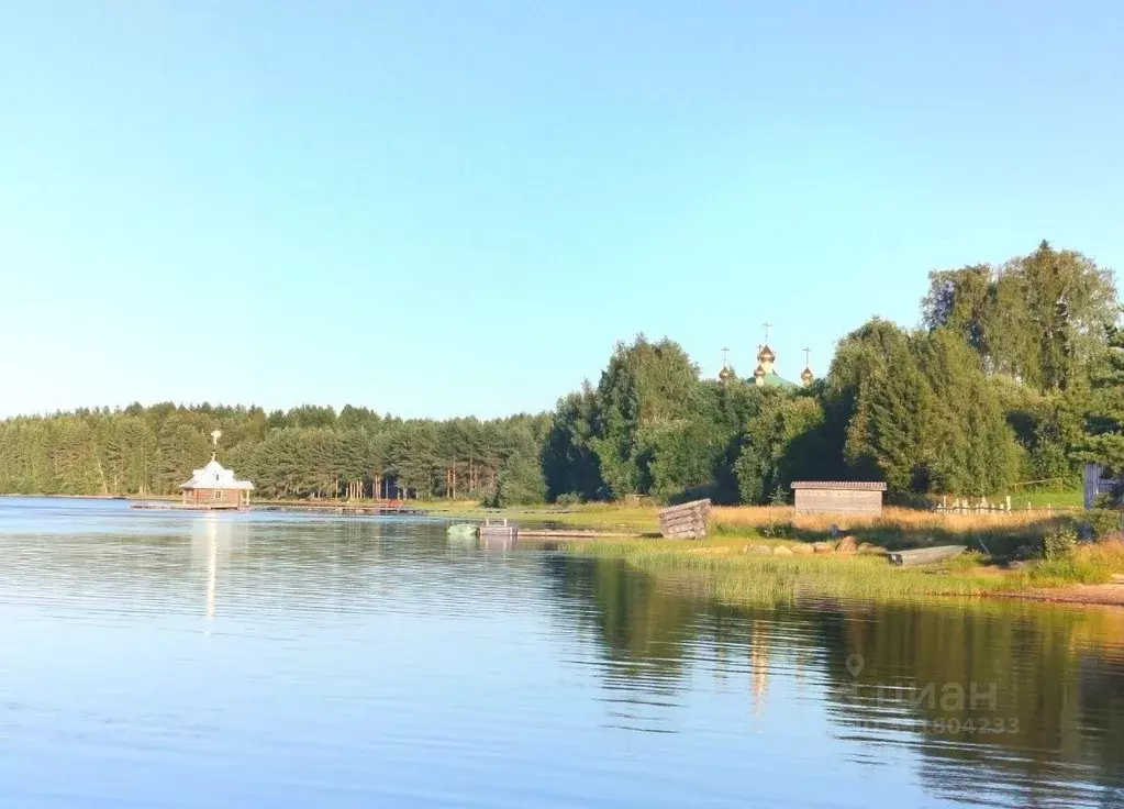 Участок в Карелия, Олонецкий район, Коткозерское с/пос, пос. ... - Фото 2