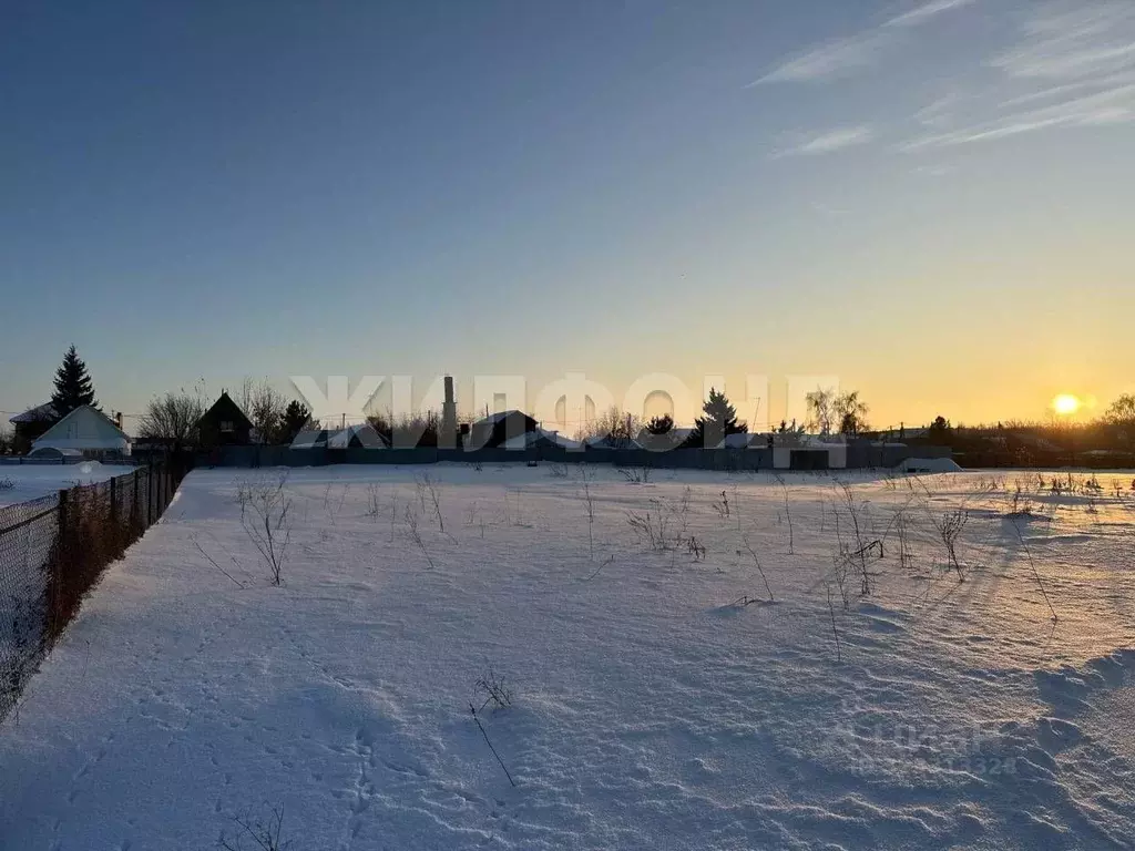 Участок в Новосибирская область, Новосибирский район, Боровской ... - Фото 1