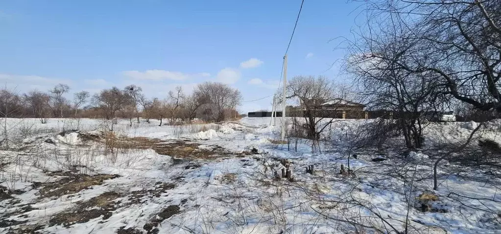 Участок в Амурская область, Благовещенский район, с. Усть-Ивановка  ... - Фото 1