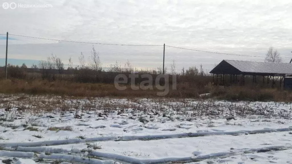 Участок в Курган, товарищество собственников недвижимости Благодатное ... - Фото 1