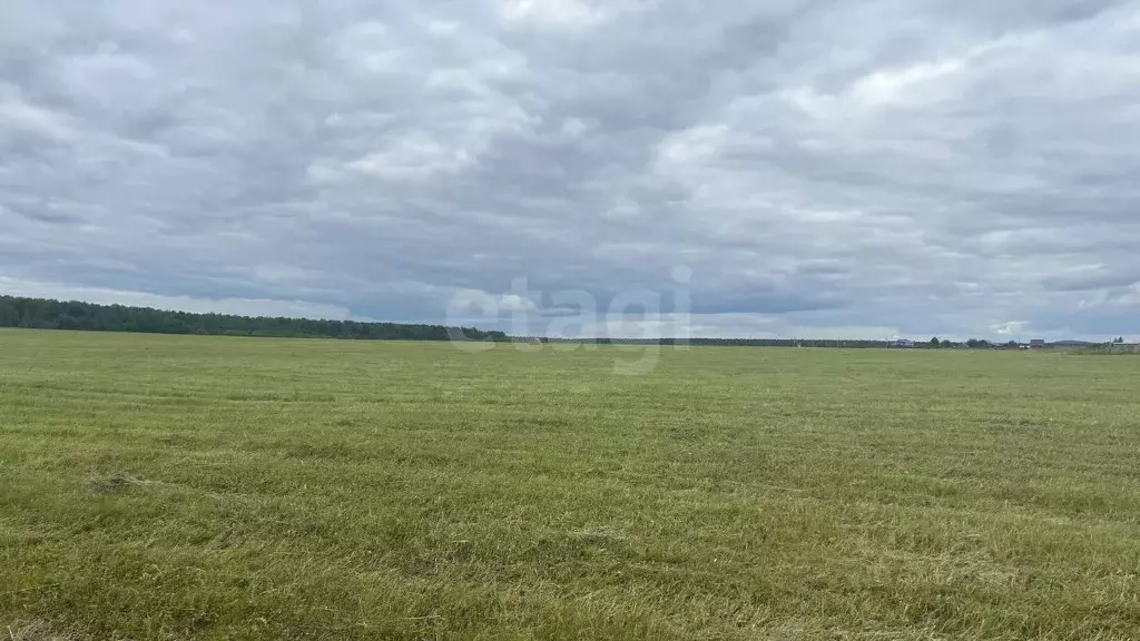 Участок в Свердловская область, Кушва ОЭЗ № 1 СНТ,  (6.0 сот.) - Фото 1