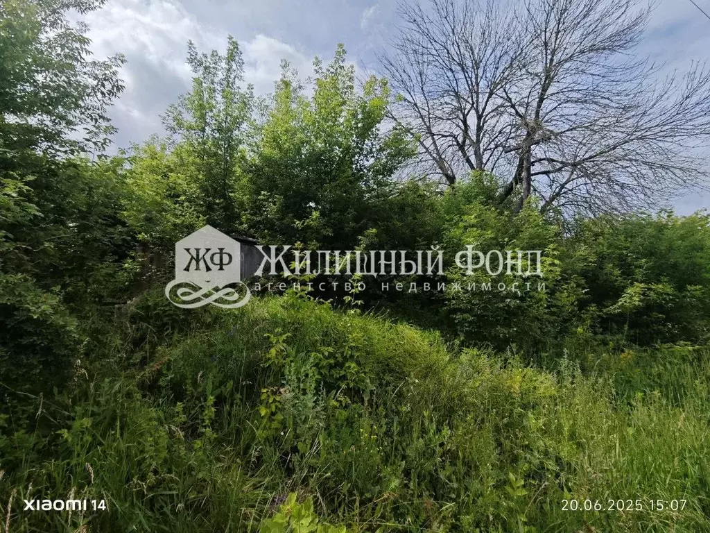 Дом в Курская область, Медвенский район, Китаевский сельсовет, д. ... - Фото 1