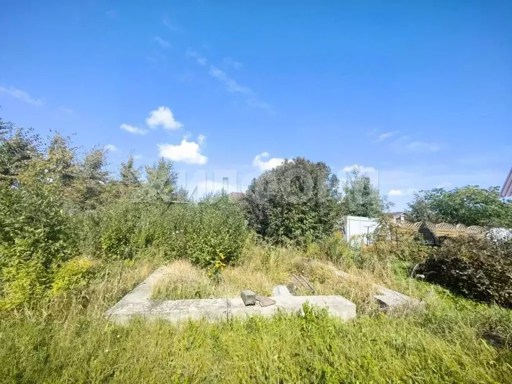 Участок в Новосибирская область, Новосибирский район, Морской ... - Фото 2