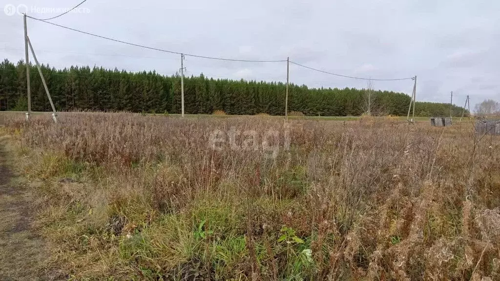 Участок в Камышловский район, Галкинское сельское поселение, село ... - Фото 0