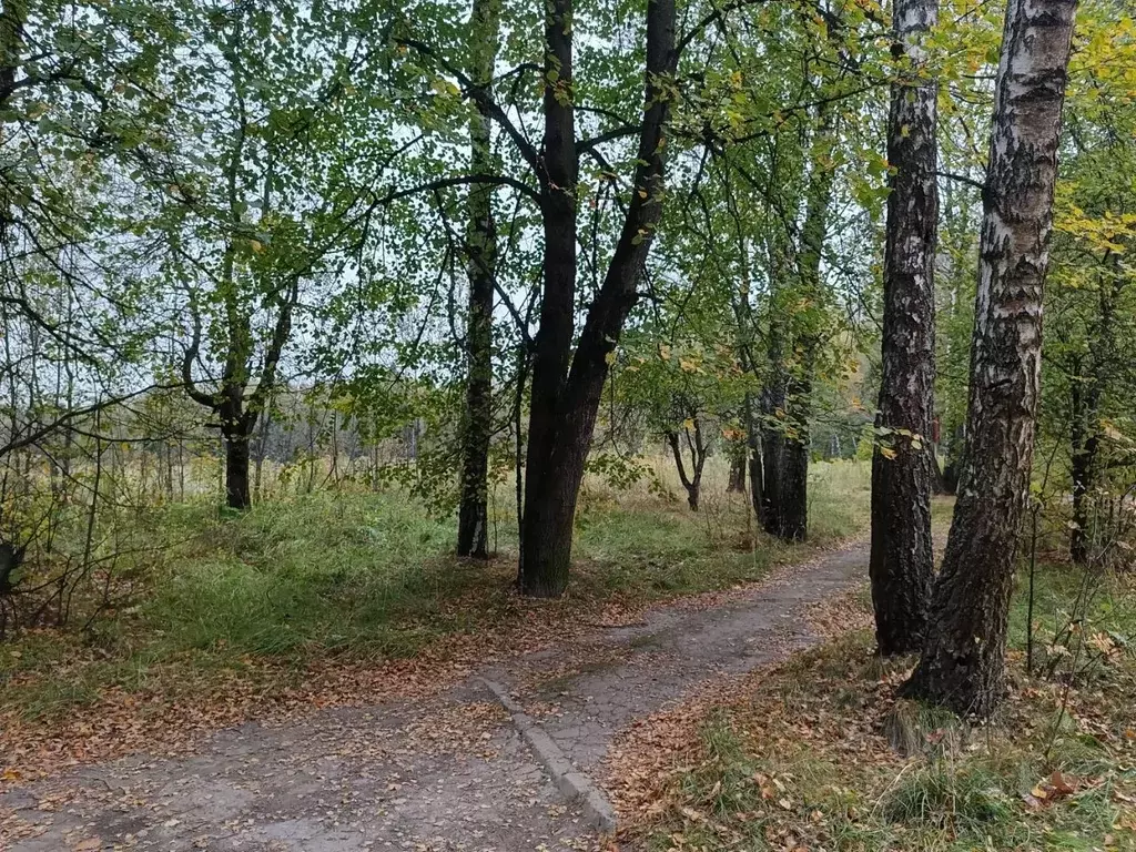 Участок в Москва д. Губцево, Светлый кп,  (5.0 сот.) - Фото 1