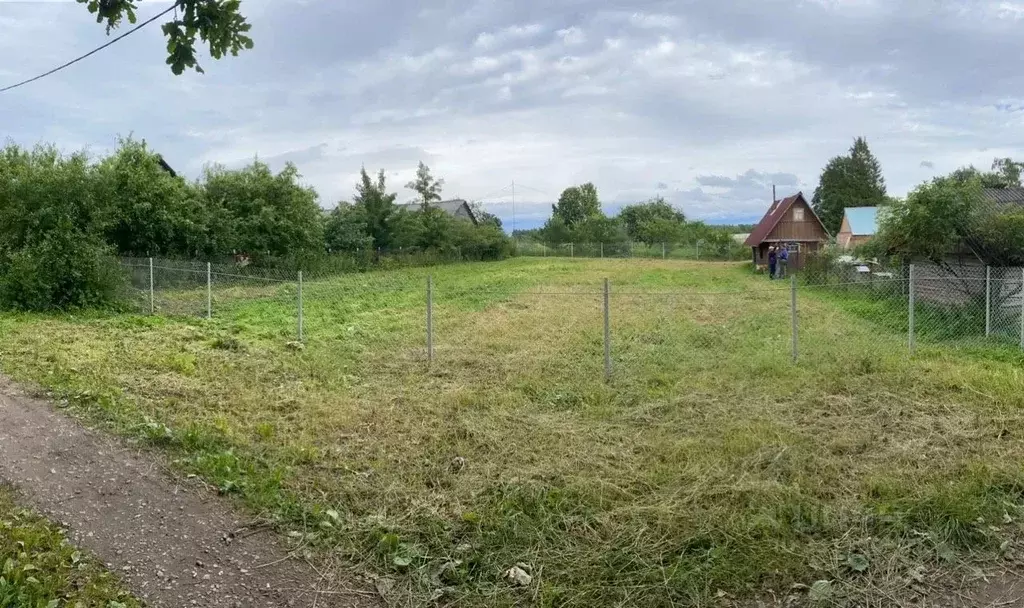 Участок в Ленинградская область, Кингисеппский район, Котельское ... - Фото 2