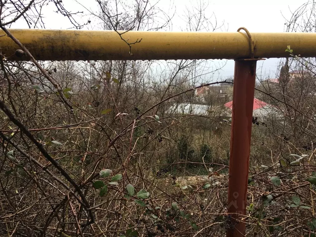 Участок в Крым, Алушта муниципальный округ, с. Малый Маяк ул. ... - Фото 1