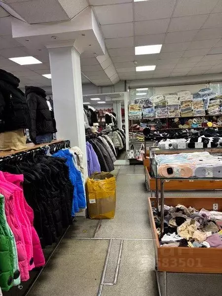 Торговая площадь в Нижегородская область, Нижний Новгород ул. ... - Фото 2