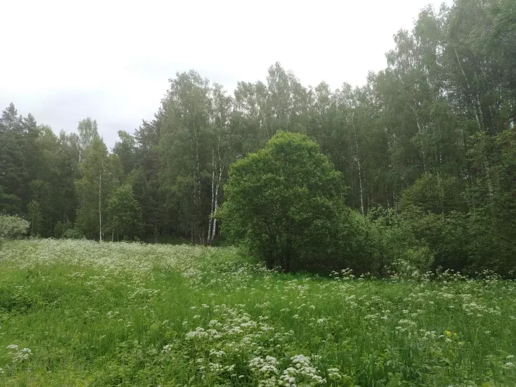 Участок в Нижегородская область, Богородский муниципальный округ, д. ... - Фото 0