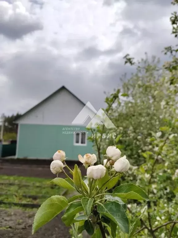 Дом в Алтайский край, Барнаул городской округ, пос. Лесной ул. ... - Фото 2