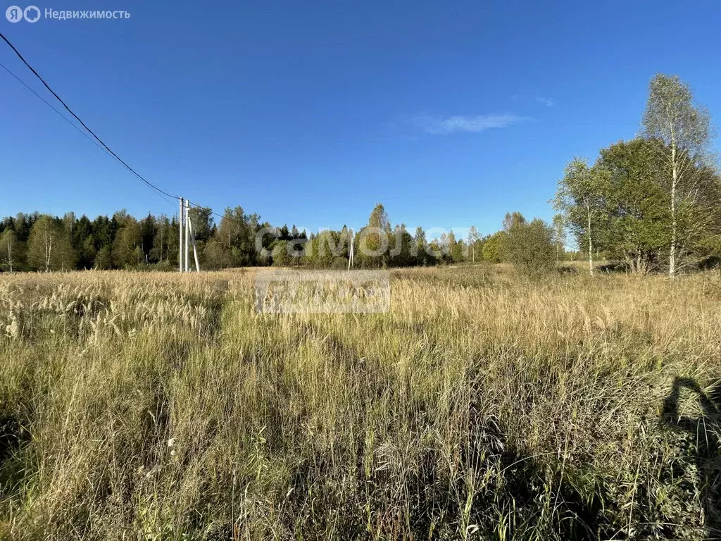 Участок в Московская область, городской округ Солнечногорск, деревня ... - Фото 1