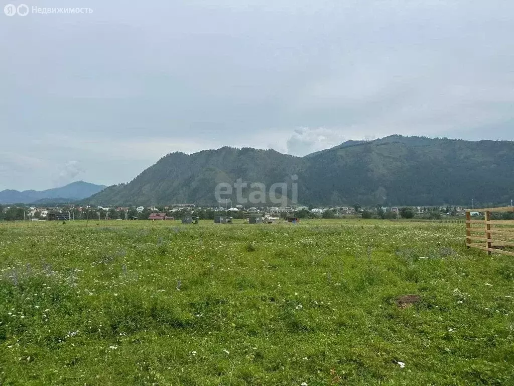 Участок в Чемальский район, село Аюла (39.6 м) - Фото 0