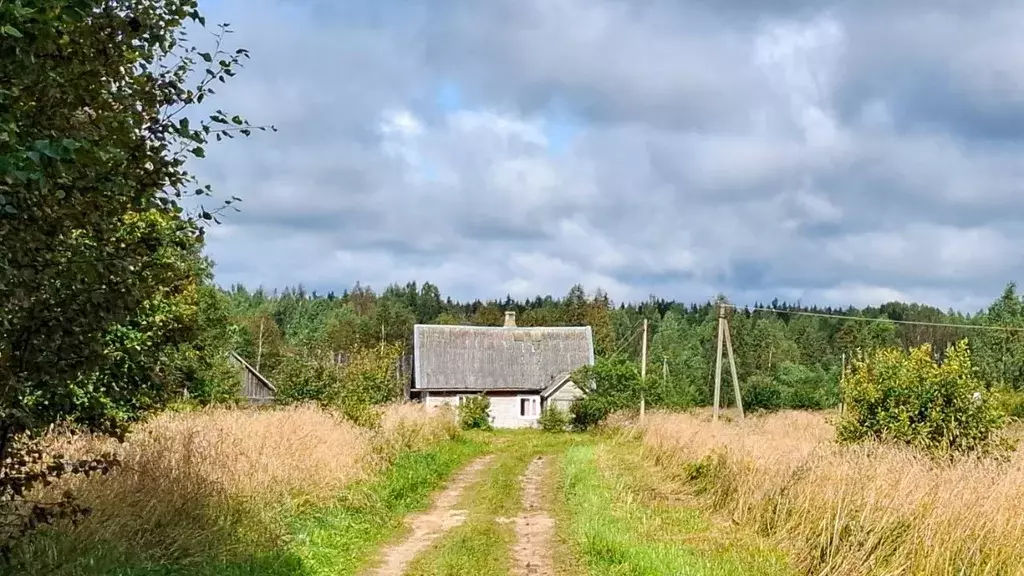 Дом в Псковская область, Печорский муниципальный округ, д. Володино  ... - Фото 2