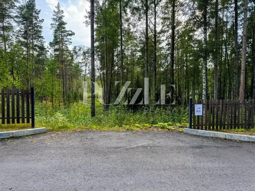 Участок в Ленинградская область, Приозерский район, Раздольевское ... - Фото 1