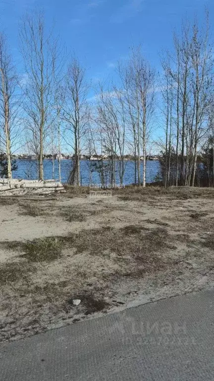 Участок в Ханты-Мансийский АО, Сургут Черемушки СТ, 26-я линия (6.0 ... - Фото 2