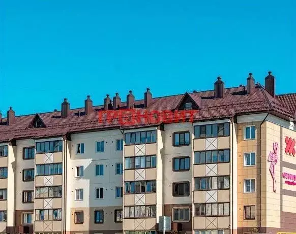 3-к кв. Новосибирская область, Новосибирский район, Мичуринский ... - Фото 1