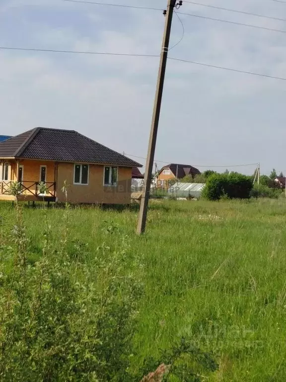Участок в Новгородская область, Шимский муниципальный район, ... - Фото 2