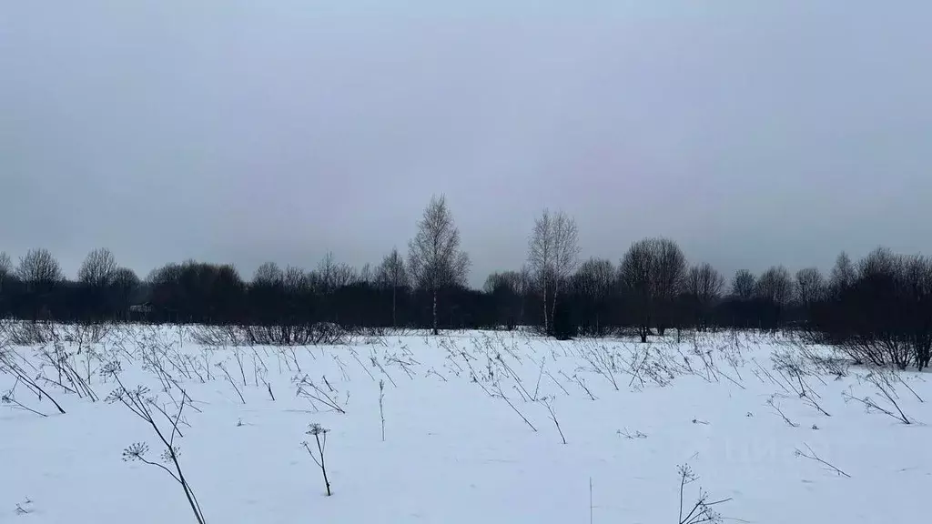 Участок в Московская область, Истра муниципальный округ, пос. ... - Фото 1