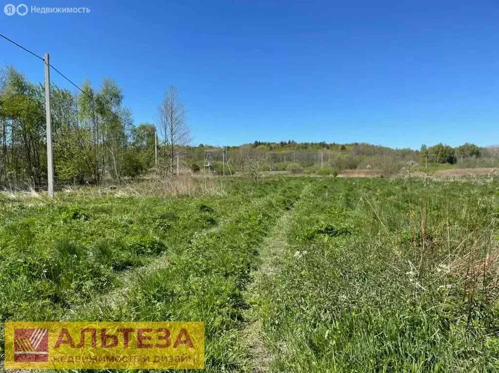 Участок в Калининградская область, Зеленоградский муниципальный округ, ... - Фото 1