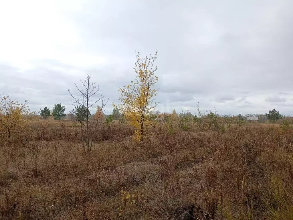 Участок в село Верхняя Хава, Новопокровская улица (10 м) - Фото 1