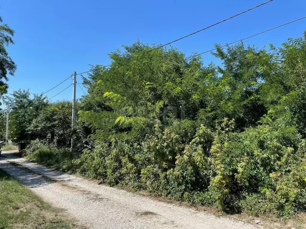 Участок в Краснодарский край, Анапа муниципальный округ, Веселая Гора ... - Фото 2