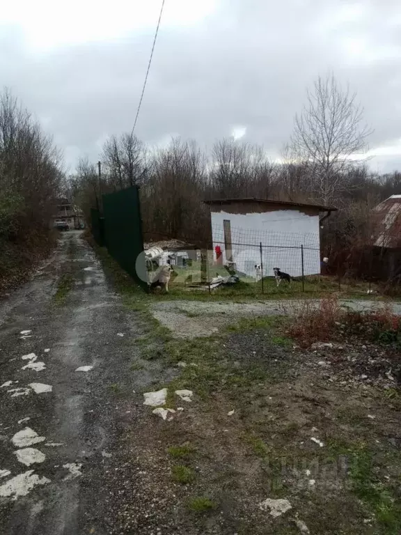 Участок в Краснодарский край, Сочи Хоста жилрайон,  (5.0 сот.) - Фото 1