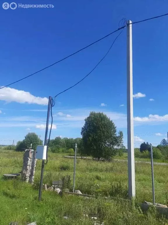 Участок в Волосовский район, Большеврудское сельское поселение, ... - Фото 1