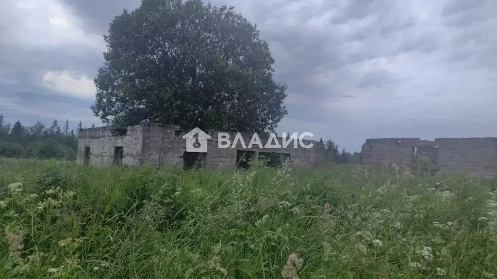 Участок в Карелия, Лахденпохский муниципальный округ, Земельный ... - Фото 2