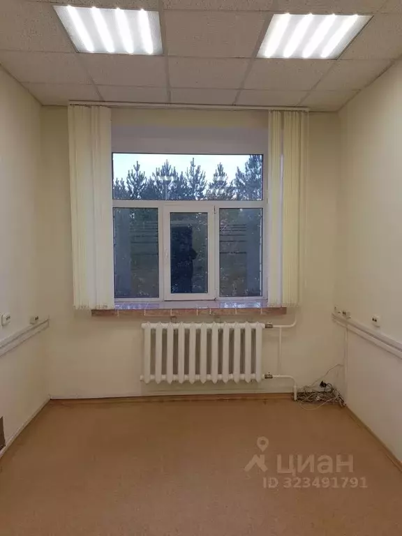 Офис в Новосибирская область, Новосибирск Академгородок мкр, ул. ... - Фото 2
