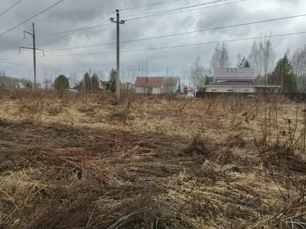 Участок в Нижегородская область, Бор Сельхозтехника СНТ, 352 (6.0 ... - Фото 1