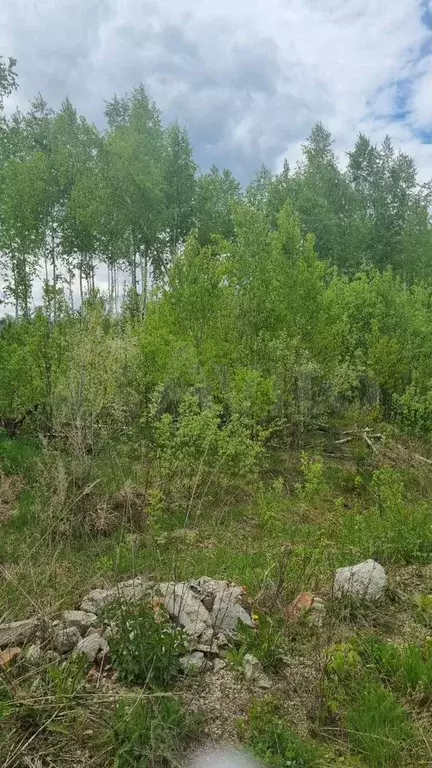 Участок 10 сот. (СНТ, ДНП) - Фото 0