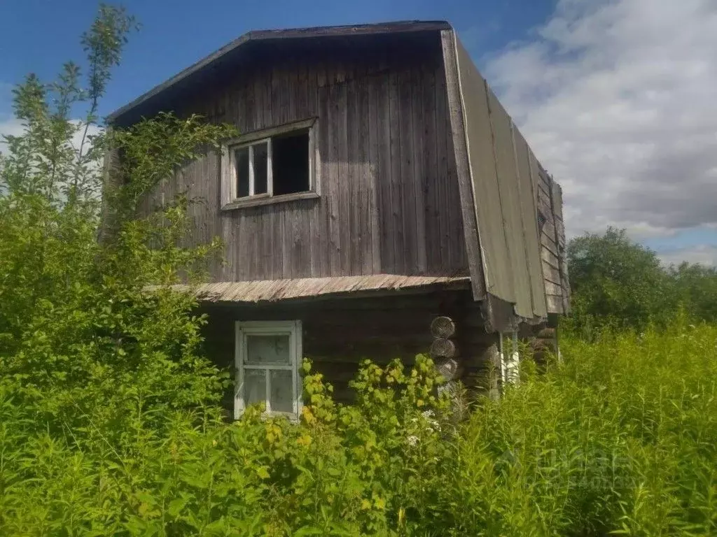 Участок в Кировская область, Кирово-Чепецк Нива СДТ,  (3.66 сот.) - Фото 1