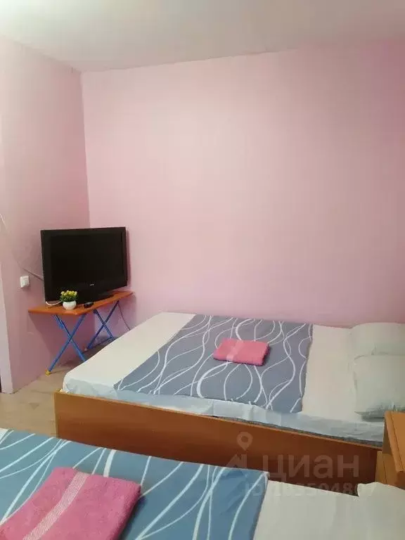 1-к кв. Ленинградская область, Приморск Интернатский пер., 4А (35.0 м) - Фото 1
