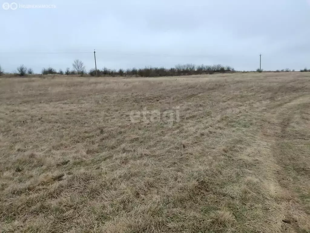 Участок в село Новоэстония, Грушевая улица (20.5 м) - Фото 0