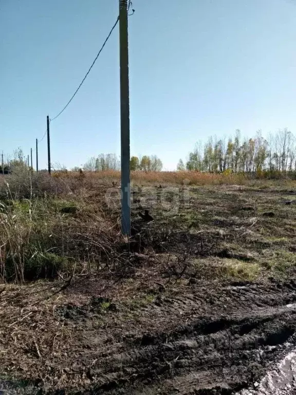 Участок в Ростовская область, Азовский район, Елизаветинское с/пос, ... - Фото 1