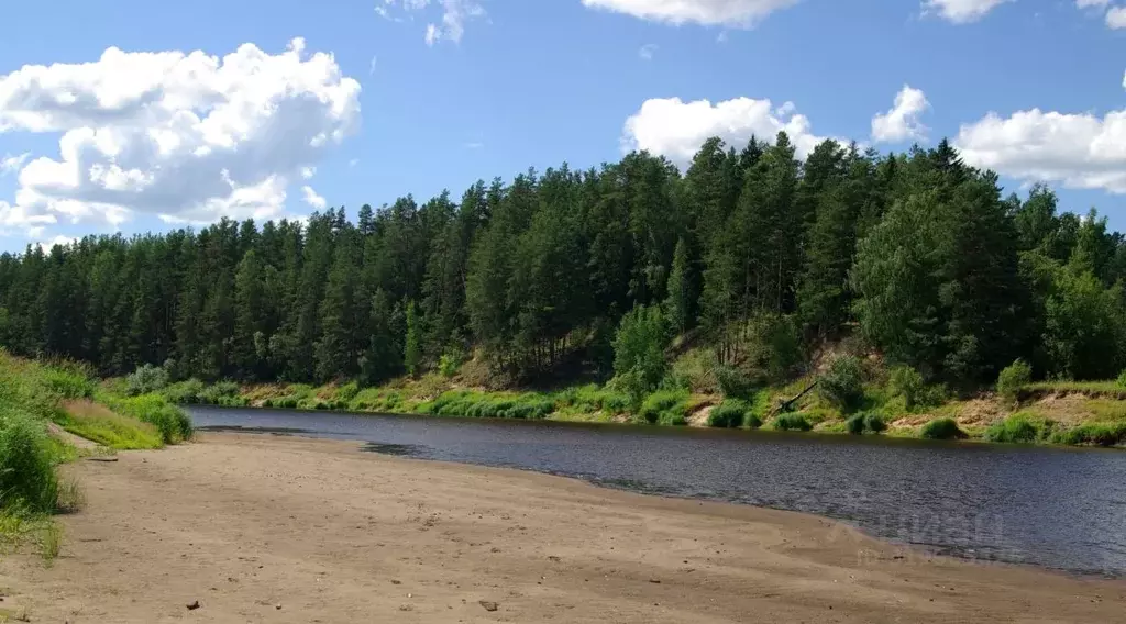 Участок в Новгородская область, Пестовский муниципальный округ, д. ... - Фото 1