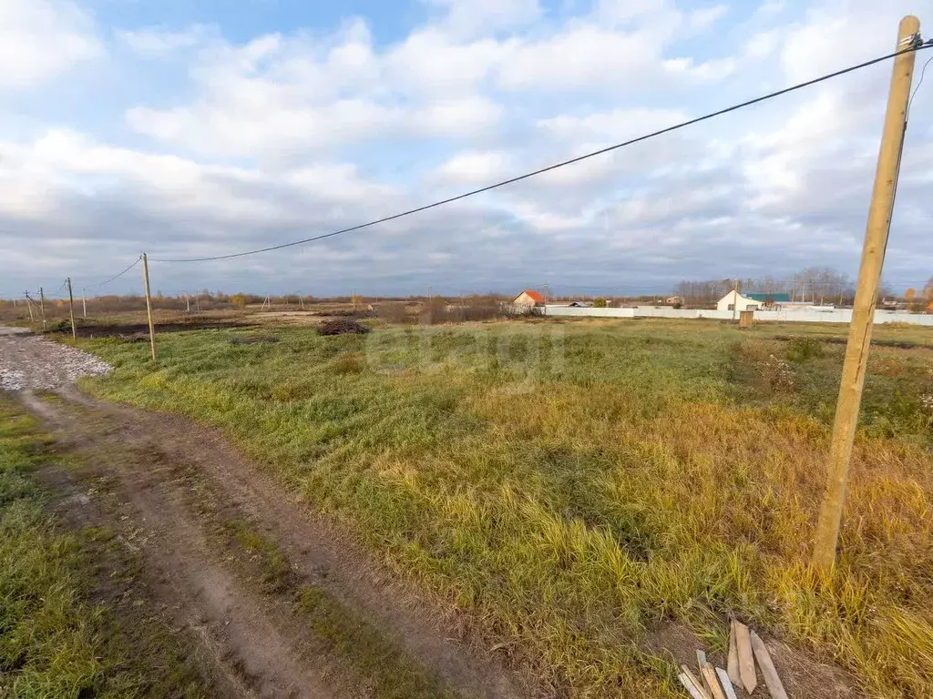 Участок в Тюменская область, Тюмень Огонек СНТ, ул. Цветочная, 67 (9.8 ... - Фото 1