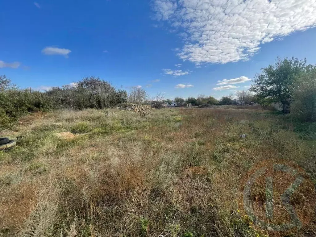 Участок в Крым, Черноморский район, Новоивановское с/пос, с. Хмелево ... - Фото 2