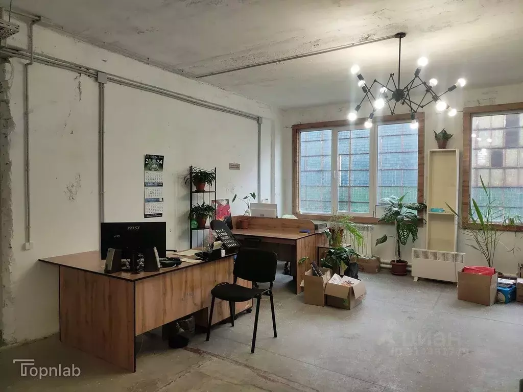 Офис в Алтайский край, Барнаул просп. Космонавтов, 8/24 (100 м) - Фото 2