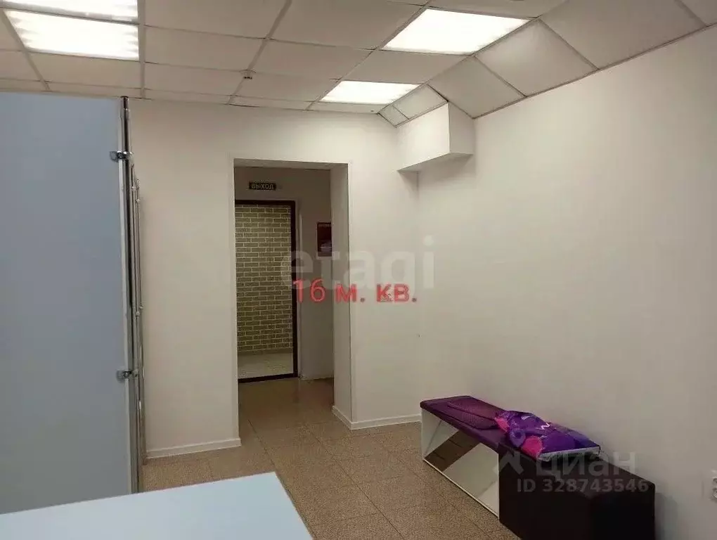 Офис в Новосибирская область, Бердск Морской мкр, 2 (29 м) - Фото 2