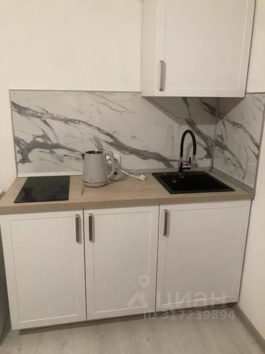 Студия Санкт-Петербург ул. Верхне-Каменская, 9к1 (26.0 м) - Фото 1