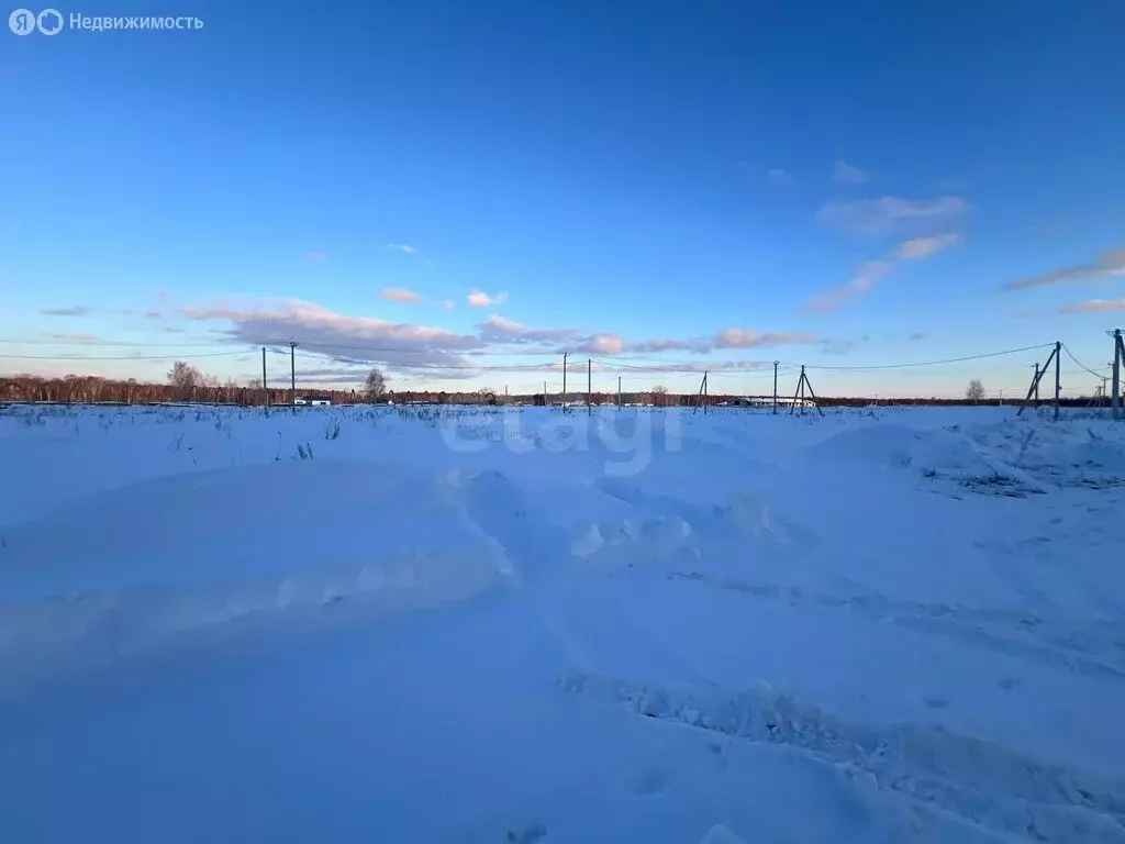 Участок в Челябинская область, Сосновский муниципальный округ, деревня ... - Фото 2