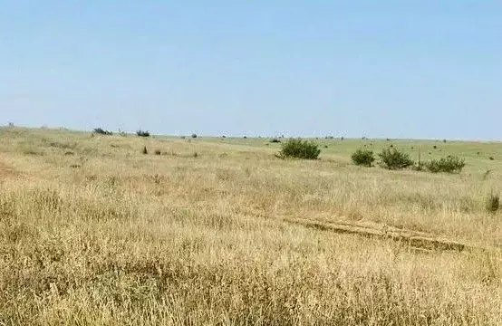 Участок в Крым, Сакский район, с. Ивановка  (100.0 сот.) - Фото 1